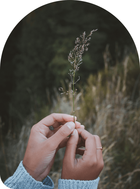 quiet-strength-counselling-home-treatment